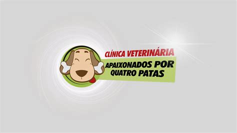 4 patas marechal hermes|Conheça a Apaixonados por Quatro Patas.